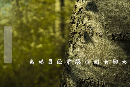 离婚男经常跟已婚女聊天 离婚男经常跟已婚女聊天