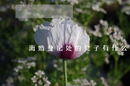 离婚登记处的凳子有什么讲究 离婚登记处的凳子有什么讲究