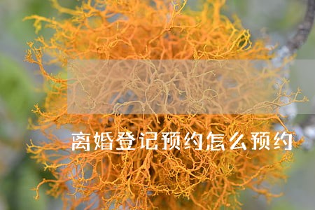 离婚登记预约怎么预约 离婚登记预约怎么预约