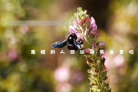 离婚的人可以领失业金吗 离婚的人可以领失业金吗