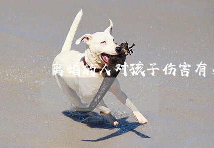 离婚的人对孩子伤害有多大 离婚的人对孩子伤害有多大