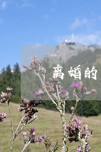 离婚的人能在本村买房吗 离婚的人能在本村买房吗