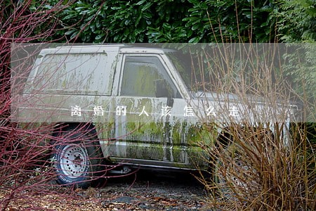 离婚的人该怎么走