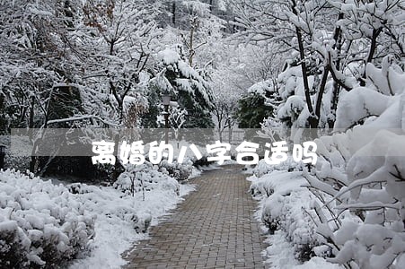 离婚的八字合适吗 离婚的八字合适吗