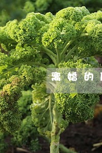 离婚的原因很俗套 离婚的原因很俗套