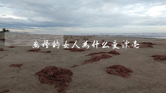 离婚的女人为什么变漂亮 离婚的女人为什么变漂亮