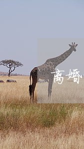 离婚的女人为什么有私心 离婚的女人为什么有私心