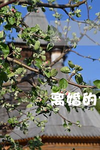 离婚的女人在干嘛 离婚的女人在干嘛