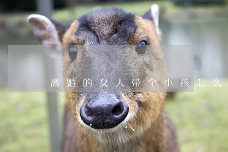 离婚的女人带个小孩怎么关心 离婚的女人带个小孩怎么关心
