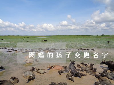 离婚的孩子变更名字 离婚的孩子变更名字