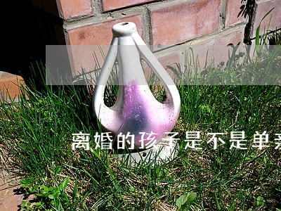 离婚的孩子是不是单亲家庭