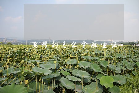 离婚的怎么拿准生证
