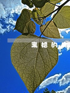 离婚的房子怎么过户给孩子 离婚的房子怎么过户给孩子