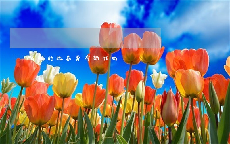 离婚的抚养费有标准吗 离婚的抚养费有标准吗