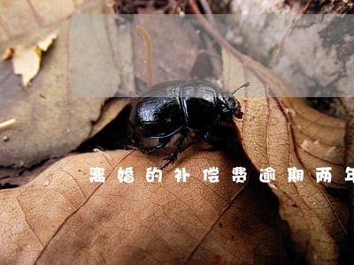 离婚的补偿费逾期两年还有效吗 离婚的补偿费逾期两年还有效吗