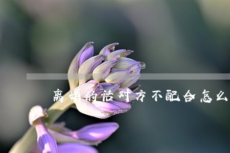 离婚的话对方不配合怎么办 离婚的话对方不配合怎么办