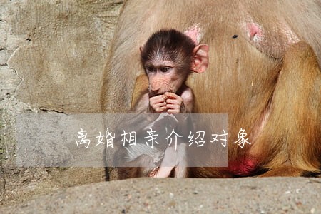 离婚相亲介绍对象 离婚相亲介绍对象