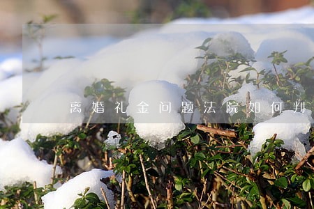 离婚礼金问题法院如何判决 离婚礼金问题法院如何判决