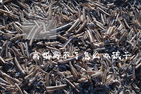 离婚离不了怎么办孩子