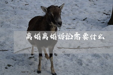 离婚离婚诉讼需要什么 离婚离婚诉讼需要什么