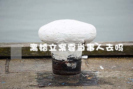 离婚立案要当事人去吗 离婚立案要当事人去吗