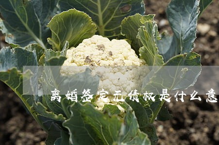 离婚签定无债权是什么意思 离婚签定无债权是什么意思