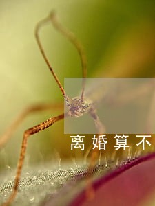 离婚算不算无子女 离婚算不算无子女