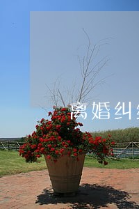 离婚纠纷中子女的抚养问题研究 离婚纠纷中子女的抚养问题研究