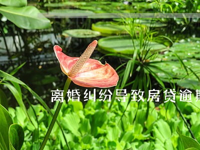离婚纠纷导致房贷逾期 离婚纠纷导致房贷逾期