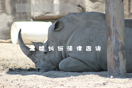 离婚纠纷法律咨询 离婚纠纷法律咨询