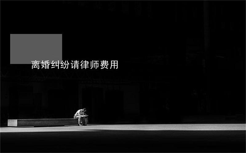 离婚纠纷请律师费用 离婚纠纷请律师费用