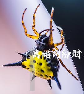 离婚纠纷财产律师热线