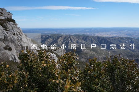 离婚给小孩迁户口需要什么
