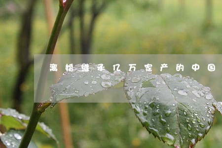离婚继承亿万家产的中国女人