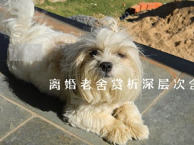 离婚老舍赏析深层次含义 离婚老舍赏析深层次含义