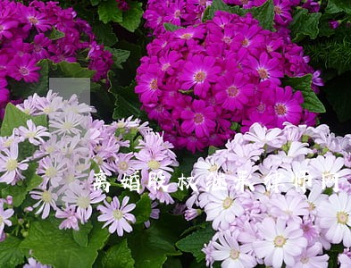 离婚股权继承律师网 离婚股权继承律师网