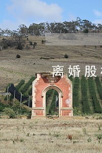 离婚股权转让律师 离婚股权转让律师