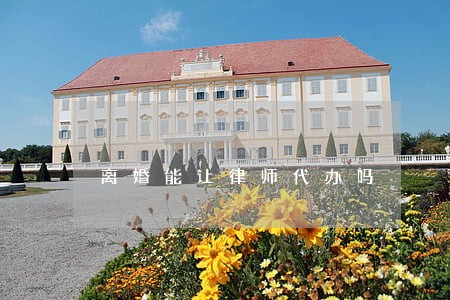 离婚能让律师代办吗
