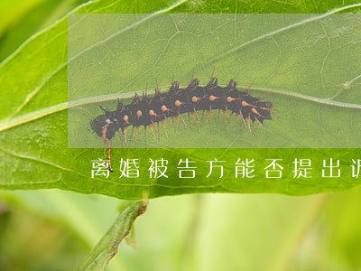 离婚被告方能否提出诉求 离婚被告方能否提出诉求