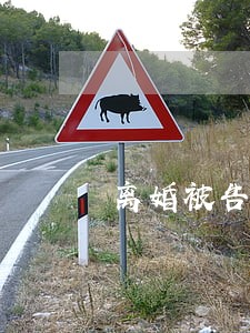 离婚被告要给律师费吗 离婚被告要给律师费吗