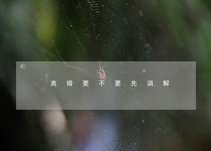 离婚要不要先调解 离婚要不要先调解