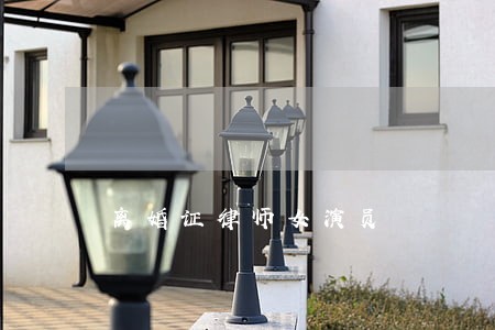 离婚证律师女演员