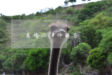 离婚证律师解答 离婚证律师解答