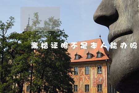 离婚证明不是本人能办吗 离婚证明不是本人能办吗