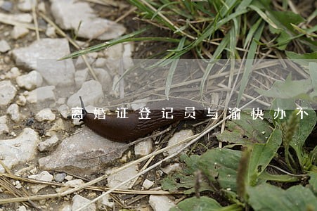 离婚证登记员与渝快办不一致 离婚证登记员与渝快办不一致