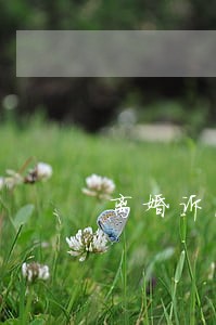 离婚诉法律咨询 离婚诉法律咨询