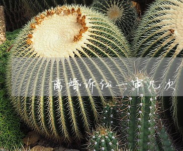 离婚诉讼一审几次