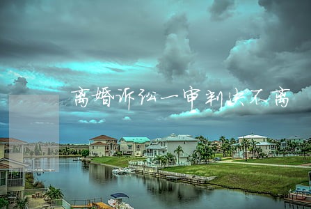 离婚诉讼一审判决不离