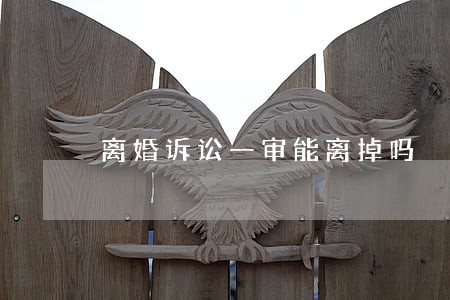 离婚诉讼一审能离掉吗 离婚诉讼一审能离掉吗