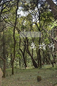离婚诉讼一方不同意最快多久